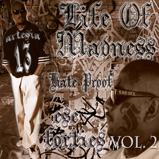 Life Of Madness, Vol. 2 cover art
