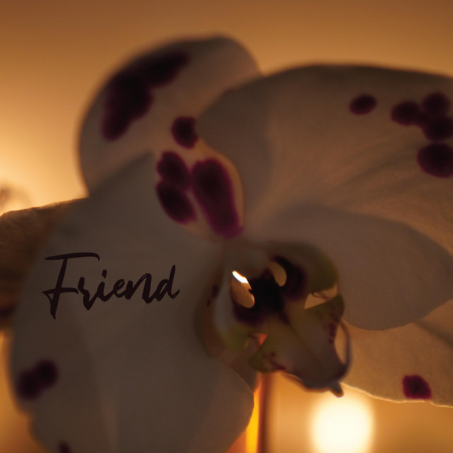 Friend