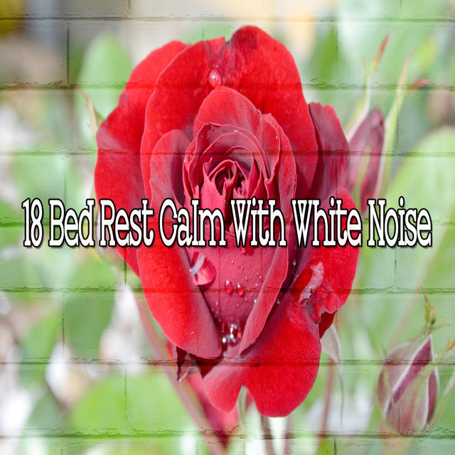 18 Bed Rest Calm With White Noise - Album by White Noise Therapy | Spotify