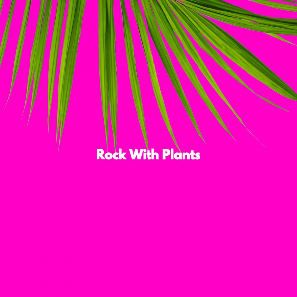 Rock With Plants cover art