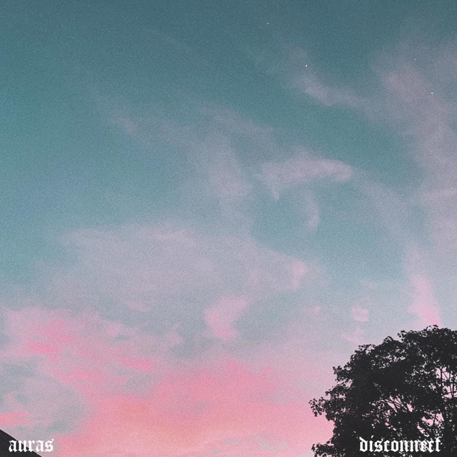 Disconnect cover art