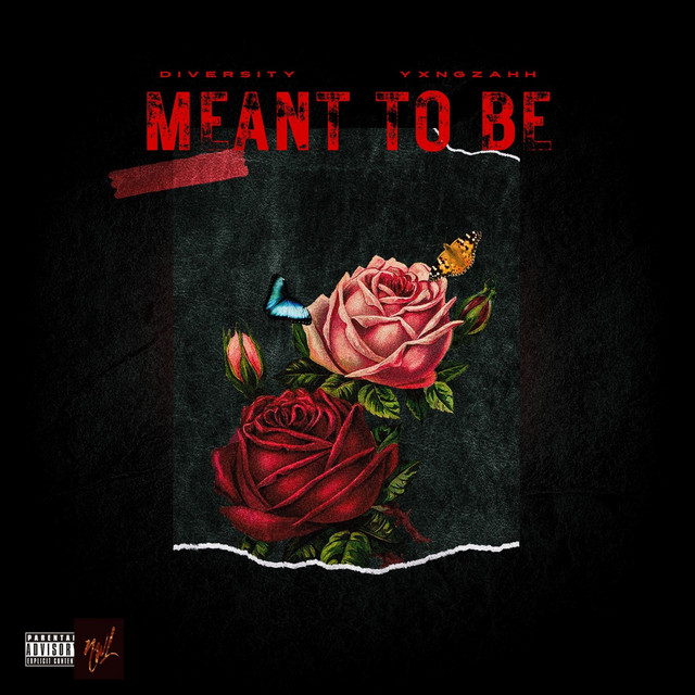 Meant To Be - song and lyrics by Diversity, Yxngzahh | Spotify