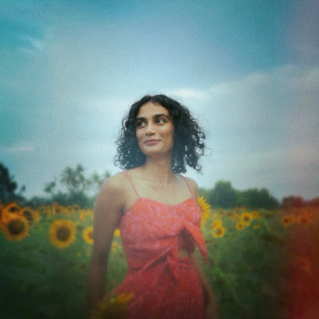 sunn cover art