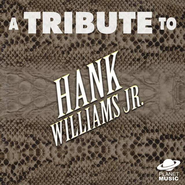 A Tribute to Hank Williams Jr. cover art