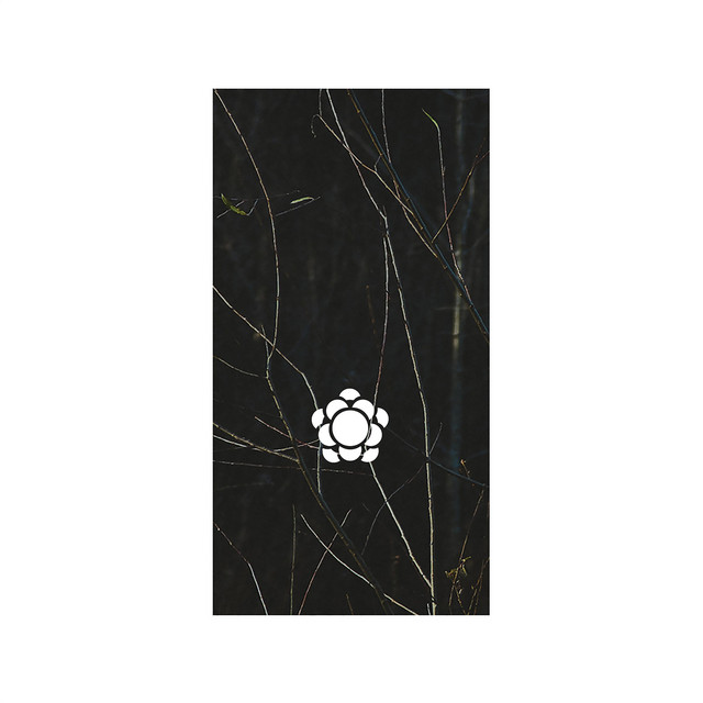 Span cover art