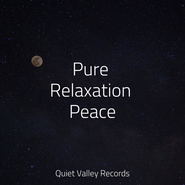 Pure Relaxation Peace - Album by Rain Storm Sample Library | Spotify