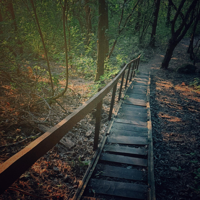 Обкладинка: Off the Path — Jad Abstrock