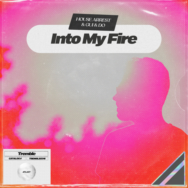Into My Fire cover art
