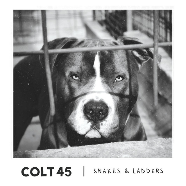 Snakes & Ladders cover art