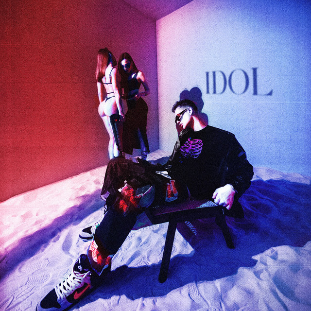 IDOL cover art