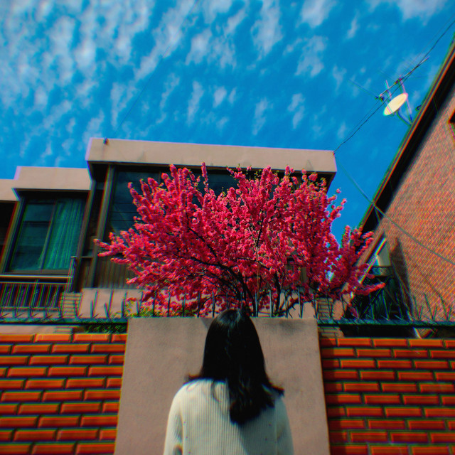This Day cover art