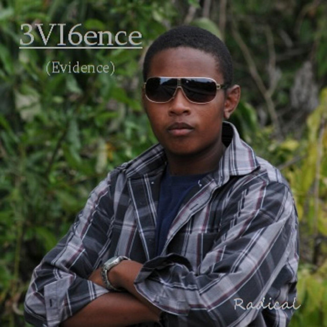 Evidence cover art