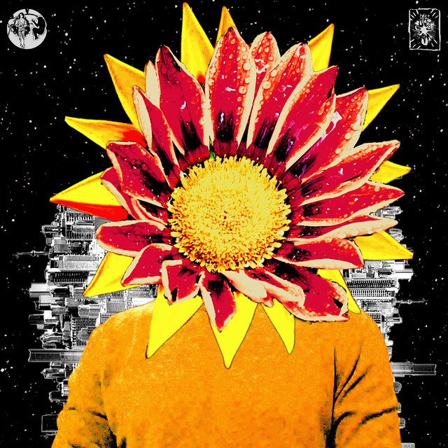 First Meetings / Last Goodbyes cover art