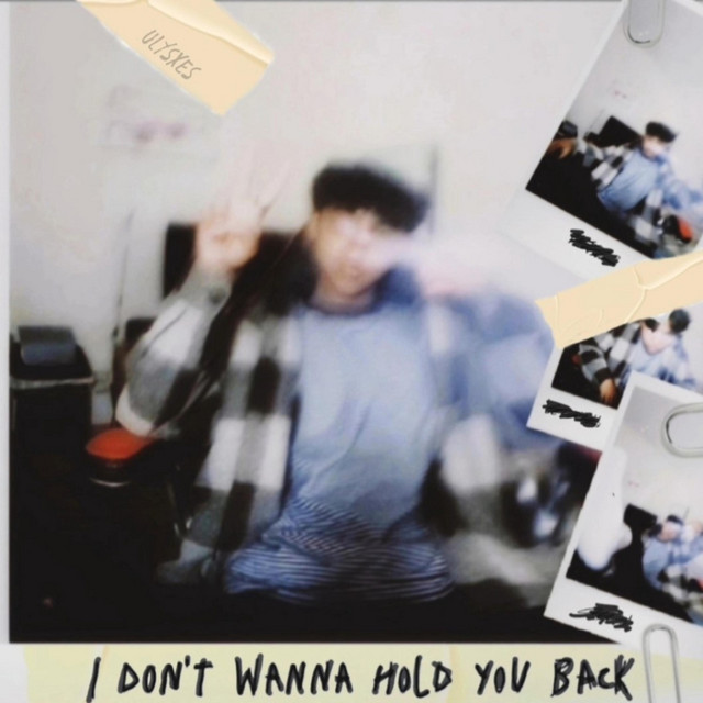 IDWHYB cover art