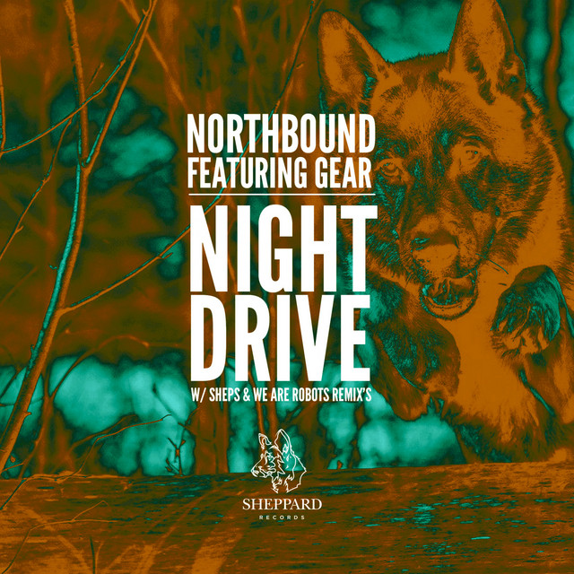 Night Drive - Original Mix cover art