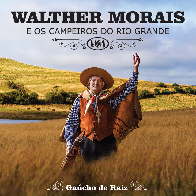 Gaúchos de Raiz cover art