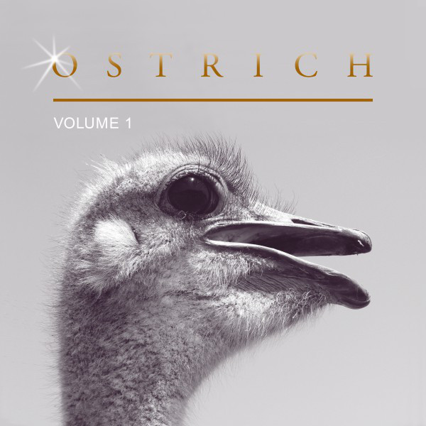 Ostrich, Vol. 1 cover