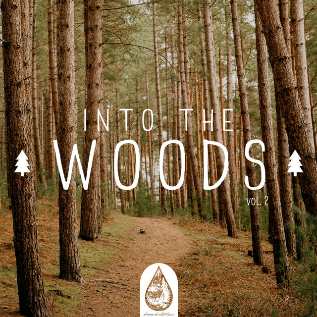 Into the Woods Vol. 2 (Alexrainbirdmusic) cover art