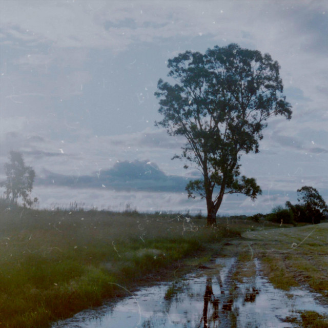 Los Días del Ciruelo cover art