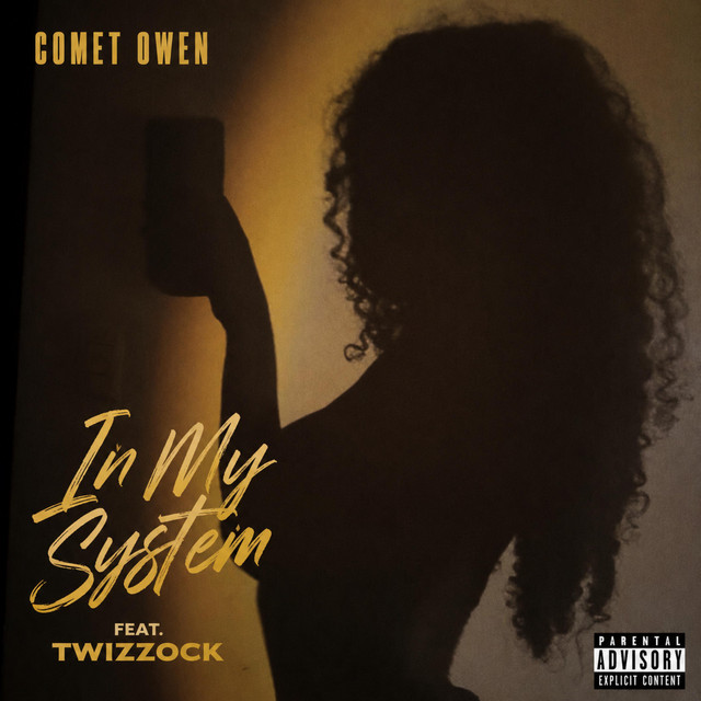 In My System