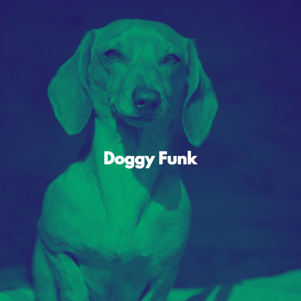 Doggy Funk cover art