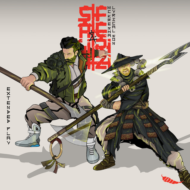 Salihi x Ferizi (Extended Version) album image