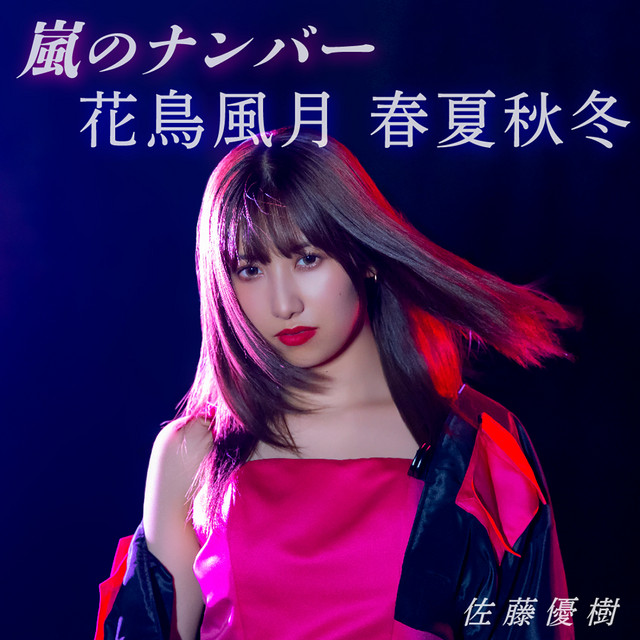 嵐のナンバー／花鳥風月 春夏秋冬 (Special Edition) - EP by 佐藤優樹