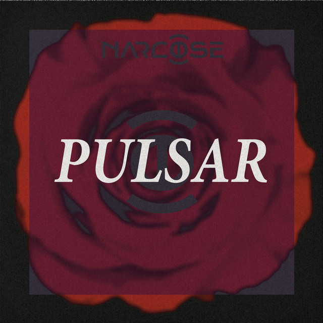 Pulsar cover