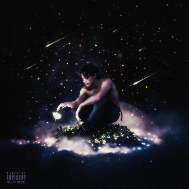 Le Stelle Me Lo Diranno cover art