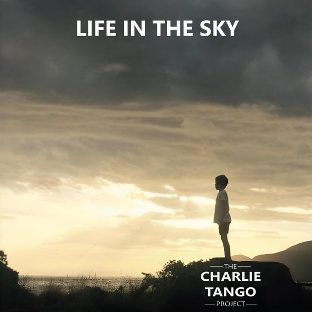 The Charlie Tango Project