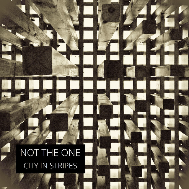 Not the One - Single by City in Stripes | Spotify
