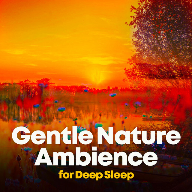 Gentle Nature Ambience for Deep Sleep - Album by Nature & Sounds ...