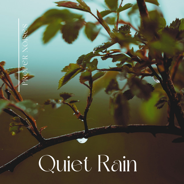 Quiet Rain