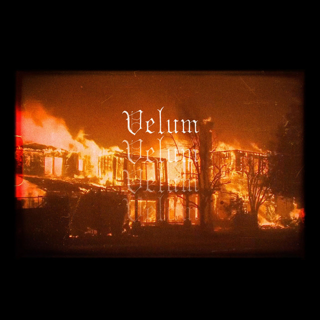 velum (single)