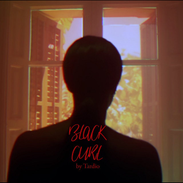 TARDIO — Black Curl (Single)