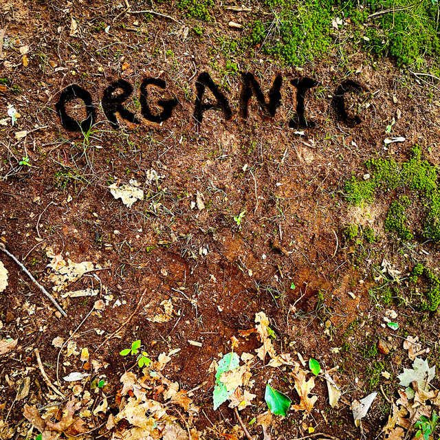 Organic cover art