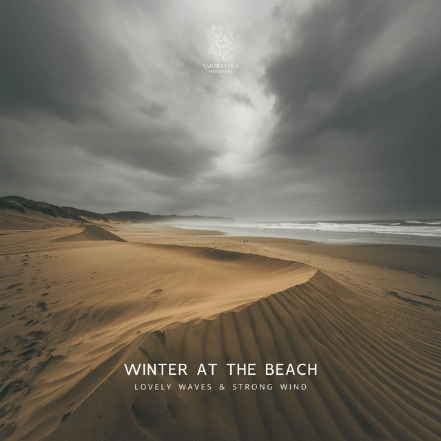 Winter at the Beach - Lovely Waves & Strong Wind