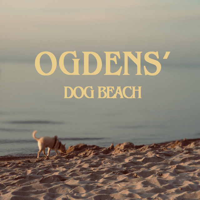 Dog Beach cover art