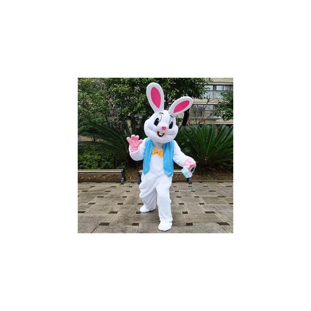 Silly Rabbit cover art