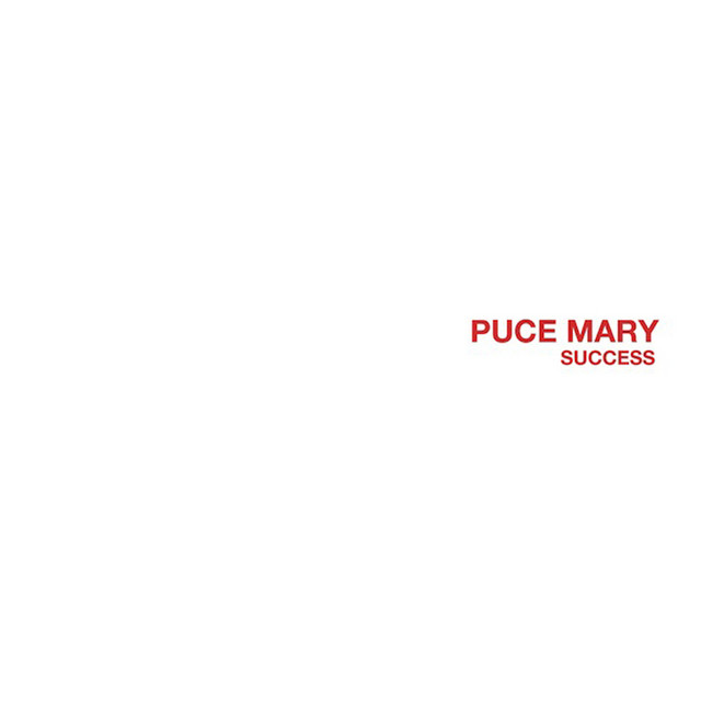 Success cover art