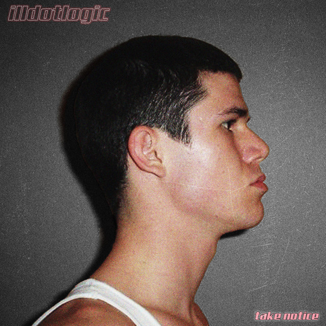 Take Notice (Maxi Single) cover