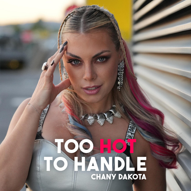 Too Hot To Handle - Single by Chany Dakota | Spotify