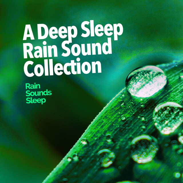 A Deep Sleep Rain Sound Collection - Album by Rain Sounds Sleep | Spotify