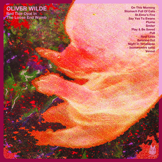 Red Tide Opal In The Loose End Womb cover art