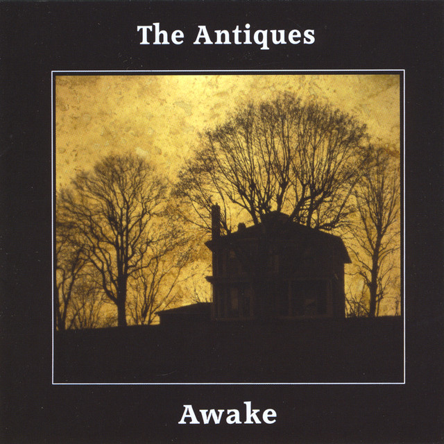 Awake cover art
