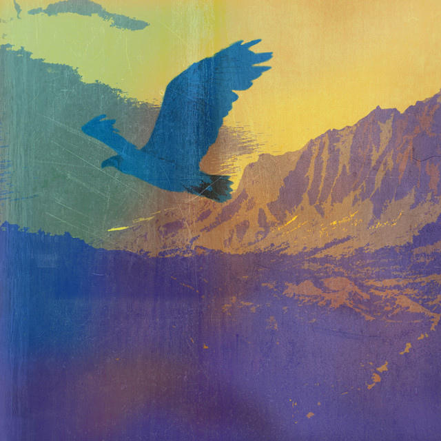 Everest cover