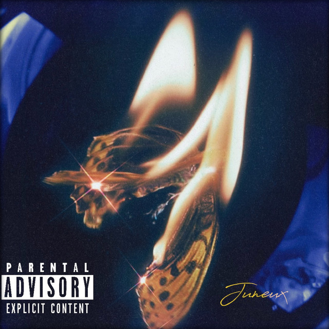 JOY (Deluxe Edition) cover art