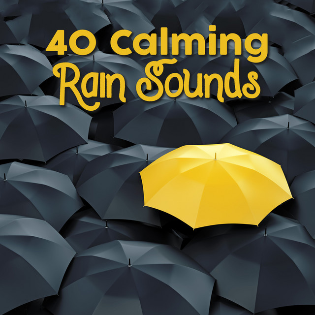 40 Calming Rain Sounds cover art