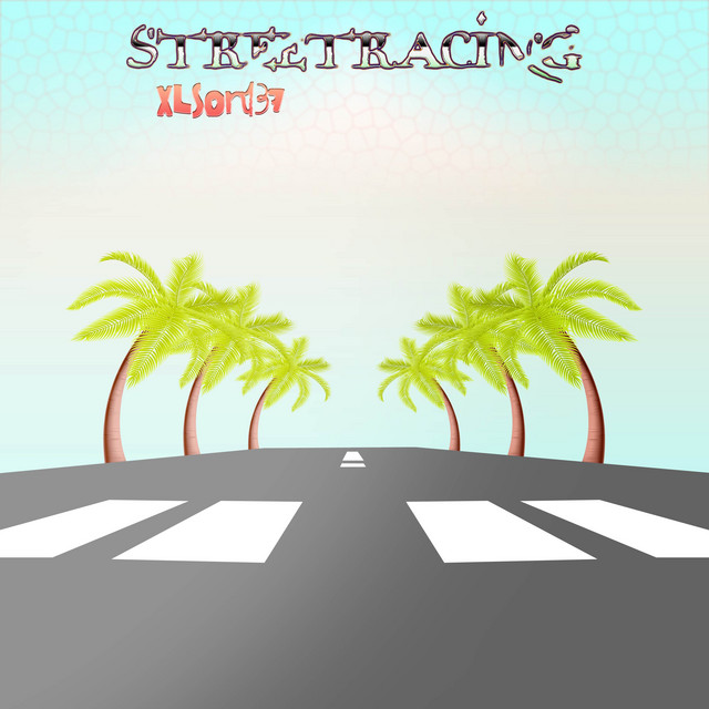 Обкладинка: Streetracing — Xlson137