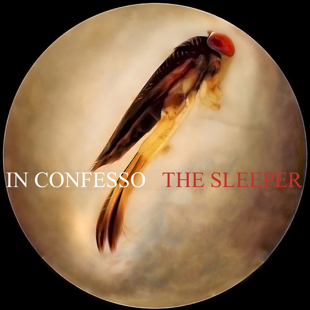 The Sleeper cover art